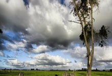 世预赛国足主场不敌澳大利亚，无缘以小组前两名身份直通美加墨世界杯环球时报.：kaiyun