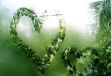 50岁丘索维金娜，世界杯分站赛夺冠！本人发声人民日报微信公众号.：kaiyun