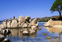 世预赛国足主场不敌澳大利亚，无缘以小组前两名身份直通美加墨世界杯环球时报.：kaiyun